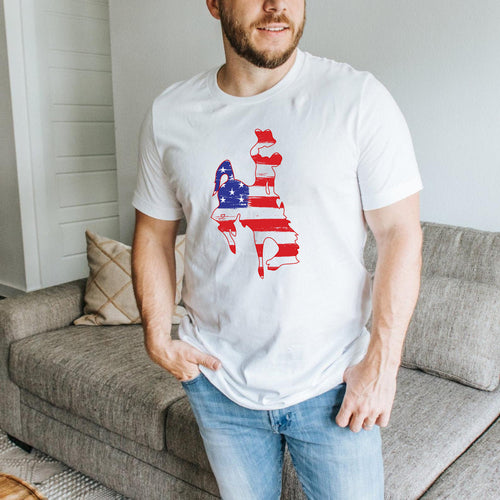 Red White & Blue Wyoming Cowboys Steamboat Unisex Jersey Tee